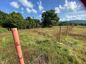 Titled Elevated Lot with Mountain View, Good for Groups/Officemates To Share, Langcuas, San Fernando City, La Union